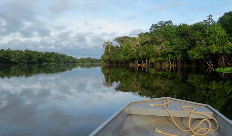 Natura se une a Dow en un proyecto de sostenibilidad en la selva amazónica