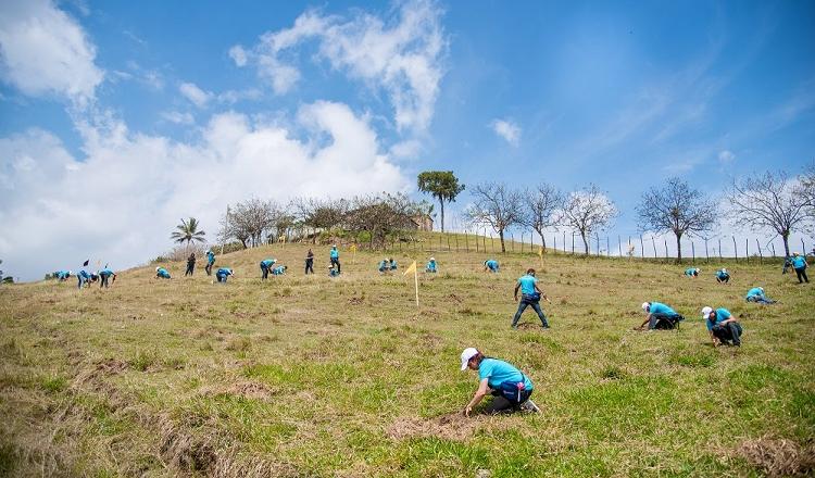 Jornadas de reforestación en el Plan Sierra 